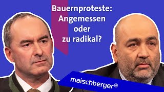 Bauernproteste amp AmpelStreit  gibt es Neuwahlen Hubert Aiwanger und Omid Nouripour  maischberger [upl. by Callum]