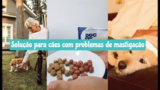 A Solução para Cães com Problema de Mastigação [upl. by Pansir]