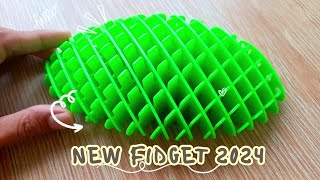 HOW THE MORF WORM FIDGET TOY WORK  UNBOXING MORF WORM FIDGET TOYS 3D  ASMR [upl. by Nightingale]