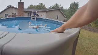 Officer rescues missing toddler with autism from pool [upl. by Violet]