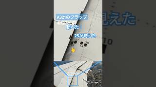 ✈️フラップが動いた 目盛りが14→21→25 A321の主翼 熊本空港に向かう着陸3分前 フラップ 飛行機の窓から見た a321 flap scale [upl. by Adiaz]