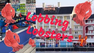 Lob A Lobster Carnival Game At Disney Boardwalk Resort [upl. by Anelak]