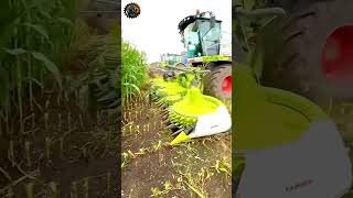 Machines You Didnt Think Existed agriculturalmachinery machinery technology [upl. by Adraynek]