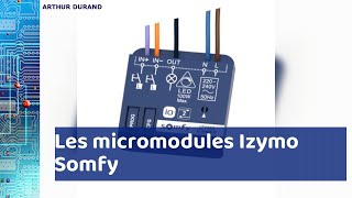 Les micromodules Izymo Somfy  la domotique à portée de tous [upl. by Enaasiali]