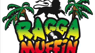 Dj Greg Enchainé Ragga Muffin Vol 2 Ancien [upl. by Reifel809]