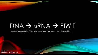 DNA mRNA eiwit transcriptie en translatie [upl. by Brosine60]