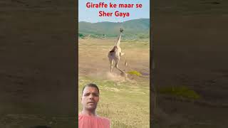 Giraffe ke man se Sher Ghayal short [upl. by Puduns647]