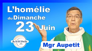 Évangile et homélie du Dimanche 23 Juin  Avec Mgr Aupetit [upl. by Etnuahc717]