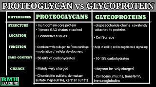 Proteoglycans Vs Glycoproteins  Difference Between Proteoglycans And Glycoproteins [upl. by Acimat]