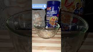 Muesli fruit nut healthy breakfast recipes 👍👍 [upl. by Cod169]