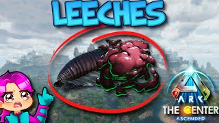 WHERE TO FIND LEECHES  THE CENTER  Ark Survival Ascended [upl. by Niuq]