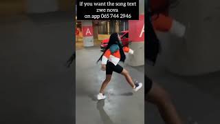 Chase Amapiano Dance Challenge By Babyface Womdantso🔥💃 [upl. by Zoellick468]