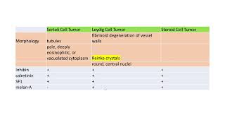 Comparisons of Sertoli Leydig and steroid cell tumorGYNpath [upl. by Pardo563]