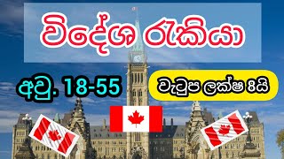 සුදුසුකම් එපාකැනඩාවේ රැකියා වැටුප ලක්ෂ 10 යි courier van driver jobs in canada government jobs [upl. by Marylynne]