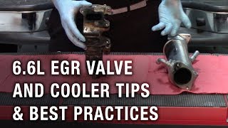 66L EGR Valve and Cooler Tips amp Best Practices [upl. by Stringer631]