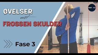 Frossen Skulder Øvelser  Fase 3 [upl. by Leizar]