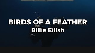 Billie Eilish  BIRDS OF A FEATHER Lyrics [upl. by Ignatzia]