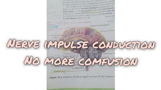 ncert topic  GENERATION AND CONDUCTION OF NERVE IMPULSE neet [upl. by Aicilf]