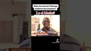 Dr alioune sarr explique l’histoire de l’elevage des moutons ladoum [upl. by Marla127]