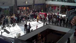 Flashmob am Wiener Westbahnhof 2762013 [upl. by Kamaria]