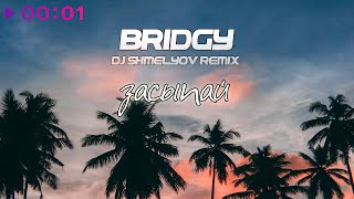 Bridgy  Засыпай  DJ Shmelyov Remix  Official Audio  2024 [upl. by Cottle]