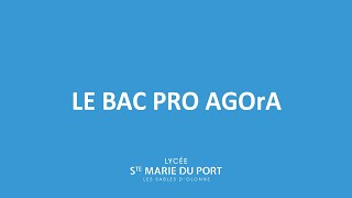 Le Bac pro AGOrA [upl. by Aerised765]