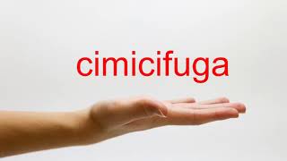 How to Pronounce cimicifuga  American English [upl. by Aldredge]