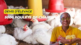 Les dépenses estimatives pour un élevage de 5000 poulets de chair [upl. by Koby]