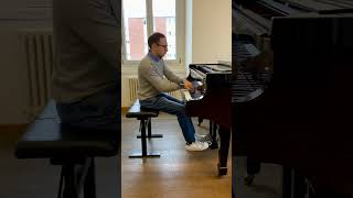 Michele Torsello plays SchumannLiszt Widmung [upl. by Burke669]