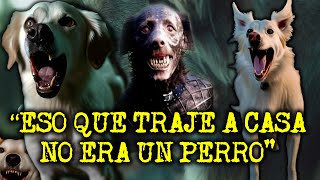 quotESO QUE TRAJE A CASA NO ERA UN PERROquot EXPERIENCIAS CON PERROS ACTUANDO COMO HUMANOS [upl. by Uyekawa]