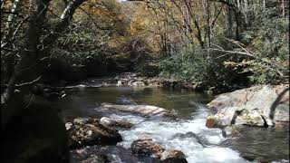 Tellico River Camping Trip [upl. by Hassadah]