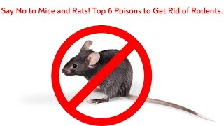 quotRodent Control The Best Mice and Rat Poison Products Revealedquot [upl. by Fini]