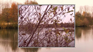 Lippstadt Strandbad Alberssee im Herbst von Carsten Korte [upl. by Trask81]