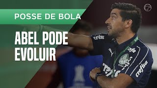 MAURO CEZAR Momento do ABEL FERREIRA no PALMEIRAS é bom mas a temporada é ruim [upl. by Arolf]