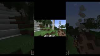 The Roamers Mod in Minecraft [upl. by Assiralk]