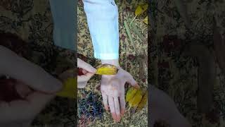 ASMR Negative Energy Cleansing Hand Energy Cleansing hand energy cleaning [upl. by Einahets627]