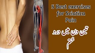 5 Best exercises for Sciatica Pain Relief in Urdu [upl. by Ariadne534]