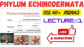 Phylum Echinodermatalecture1 ceee zoology all lectures [upl. by Aromas]