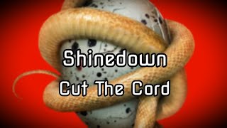 Shinedown  Cut The Cord Lyrics [upl. by Aksoyn]