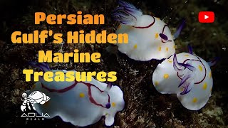 Discover the Hidden Wonders of Persian Gulf Marine Life Rare Species amp Conservation Challenges [upl. by Spaulding]