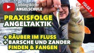 Angeltaktik erfolgreich auf Barsche und Zander angeln Staffel 1 Folge 5 [upl. by Chirlin826]