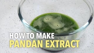 How To Make Pandan Extract [upl. by Richma27]