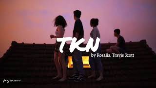 ROSALIA Travis Scott  TKN English LYRICS [upl. by Ttereve]