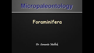 Micropalaeontology  Foraminifera [upl. by Aisanahta]