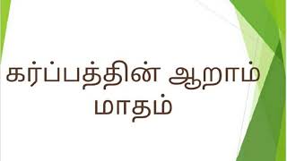 கர்ப்பம் மாதம் 6 Tamil Month 6 Pregnancy Tamil  6 மாத கர்ப்பம் [upl. by Aliuqa]