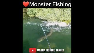 🎣 FISHING a Frog Lure For BIG CATFISH 🐸  fishing fish silure [upl. by Notnelc]