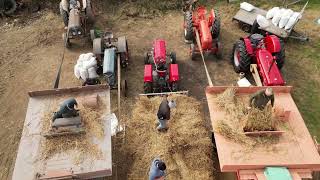 Warrenpoint amp Burren Vintage Threshing Lawsons Farm Sept 2024 short version [upl. by Nnylcaj]