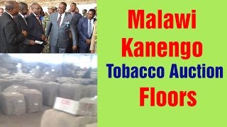 Malawi Kanengo Tobacco Auction Floors  NyasaTV [upl. by Harbed]