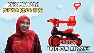 EXOTIC TRICYCLE AT 2257  REKOMENDASI SEPEDA RODA TIGA [upl. by Nylcaj627]