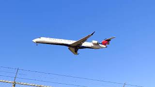 planes landing pearson airport toronto planes planespotting avgeek viral shorts yyz [upl. by Grochow]